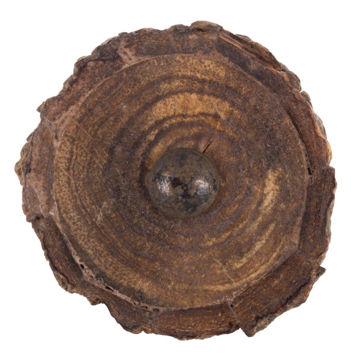 Rustic Edge Stump Wood Knob Hobby Lobby 734111